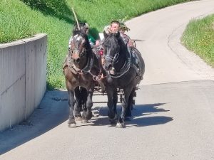 Jurjevanje na Zdolah 2026